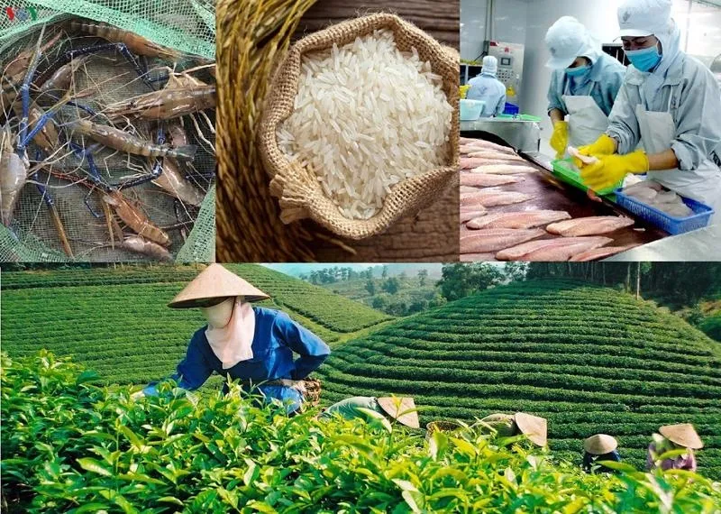Sản phẩm nsv_1675908893 — Công Ty TNHH Sở Hữu Trí Tuệ Trần & Trần — MST 0106307457