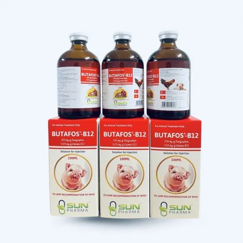 Sản phẩm z5556485420328 b67bb7279527ea6ba850c1a262c6cf97 — Công Ty Cổ Phần Xuất Nhập Khẩu Dược Mặt Trời — MST 0106313690