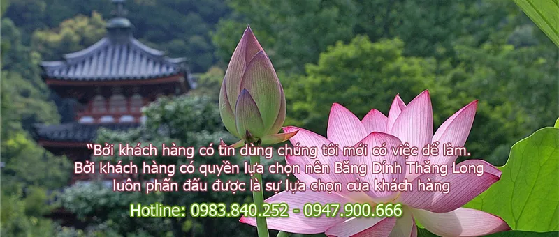 Sản phẩm sen dep nhat 040723 — Băng Dính Thăng Long - Công Ty TNHH Karota Việt Nam — MST 0106320867