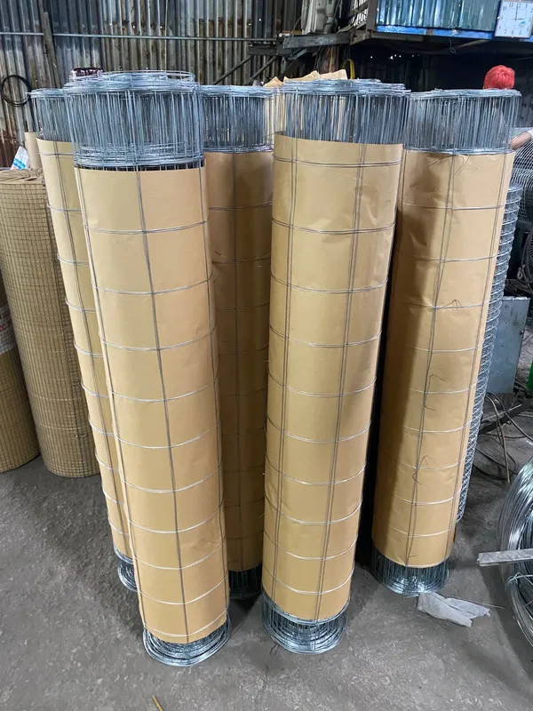 Sản phẩm z5732218458356 aa3a9cd06258467abff0b83477f2e273_1723686947 — Công Ty Cổ Phần Thép Thắng Hà — MST 0106341105