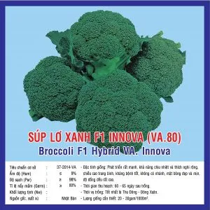 Sản phẩm Sup lo xanh F1 Innova 300x300 — Việt á Seeds - Công Ty TNHH Phát Triển Nông Nghiệp Việt Á — MST 0106362578