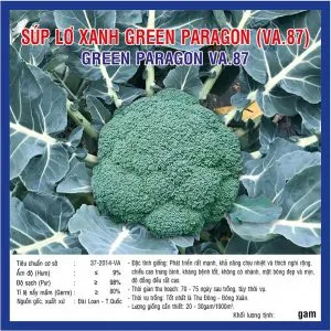 Sản phẩm Sup lo xanh Green Paragon VA87 300x300 — Việt á Seeds - Công Ty TNHH Phát Triển Nông Nghiệp Việt Á — MST 0106362578
