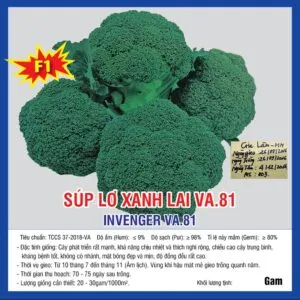 Sản phẩm 108 lơ xanh 81 300x300 — Việt á Seeds - Công Ty TNHH Phát Triển Nông Nghiệp Việt Á — MST 0106362578