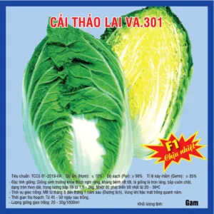 Sản phẩm 2023089 Cải thảo 301 300x300 — Việt á Seeds - Công Ty TNHH Phát Triển Nông Nghiệp Việt Á — MST 0106362578