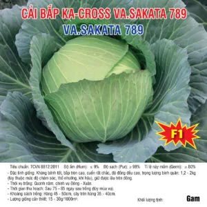 Sản phẩm 20240814 Bắp 789 300x300 — Việt á Seeds - Công Ty TNHH Phát Triển Nông Nghiệp Việt Á — MST 0106362578