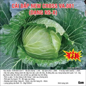 Sản phẩm 20240827 Bắp NSX 81 300x300 — Việt á Seeds - Công Ty TNHH Phát Triển Nông Nghiệp Việt Á — MST 0106362578