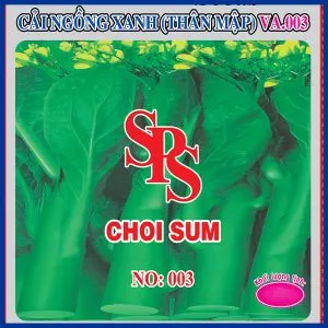 Sản phẩm Cai ngong xanh than map NO003 300x300 — Việt á Seeds - Công Ty TNHH Phát Triển Nông Nghiệp Việt Á — MST 0106362578