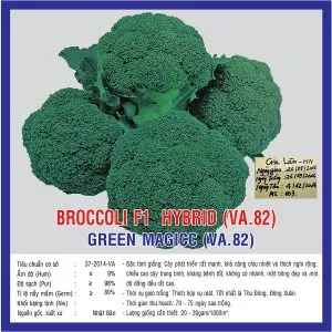 Sản phẩm Sup lo xanh Green Magic VA82 300x300 — Việt á Seeds - Công Ty TNHH Phát Triển Nông Nghiệp Việt Á — MST 0106362578