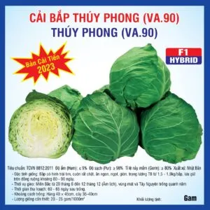 Sản phẩm cai bap thúy phong va.90 1 300x300 — Việt á Seeds - Công Ty TNHH Phát Triển Nông Nghiệp Việt Á — MST 0106362578