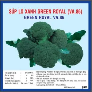 Sản phẩm z2605667602640_441f466f2200b3f9c2fb64e0021dc4b7 300x300 — Việt á Seeds - Công Ty TNHH Phát Triển Nông Nghiệp Việt Á — MST 0106362578