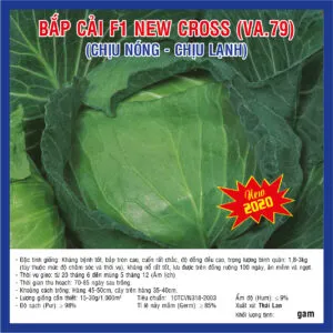 Sản phẩm Bap cai New Cross va79 300x300 — Việt á Seeds - Công Ty TNHH Phát Triển Nông Nghiệp Việt Á — MST 0106362578