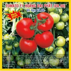 Sản phẩm ca chua vo han hoang dai phat va08 300x300 — Việt á Seeds - Công Ty TNHH Phát Triển Nông Nghiệp Việt Á — MST 0106362578