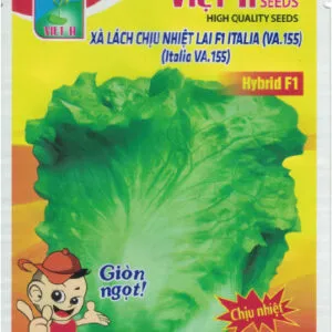 Sản phẩm túi 155 1 300x300 — Việt á Seeds - Công Ty TNHH Phát Triển Nông Nghiệp Việt Á — MST 0106362578