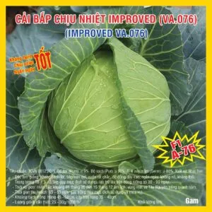 Sản phẩm cai bap improved 076 01 300x300 — Việt á Seeds - Công Ty TNHH Phát Triển Nông Nghiệp Việt Á — MST 0106362578