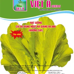 Sản phẩm CTDP16 2203HD1016 CAI BE VANG HA GIANG 300x300 — Việt á Seeds - Công Ty TNHH Phát Triển Nông Nghiệp Việt Á — MST 0106362578