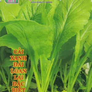 Sản phẩm z4601876612983_9f4d46134958e3674ef8a1fd479fe978 300x300 — Việt á Seeds - Công Ty TNHH Phát Triển Nông Nghiệp Việt Á — MST 0106362578