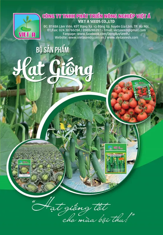 Sản phẩm CATALOGUEVIETASEEDS2021_page 0001 scaled — Việt á Seeds - Công Ty TNHH Phát Triển Nông Nghiệp Việt Á — MST 0106362578