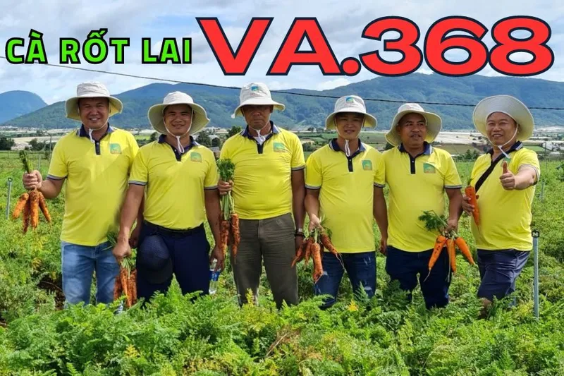 Sản phẩm VIETASEEDS 4 900x600 — Việt á Seeds - Công Ty TNHH Phát Triển Nông Nghiệp Việt Á — MST 0106362578