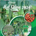 Sản phẩm z5362983019206_049ba8f575cef7fb0b12b6e08ff8fd02 1 150x150 — Việt á Seeds - Công Ty TNHH Phát Triển Nông Nghiệp Việt Á — MST 0106362578