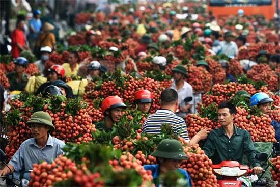 Sản phẩm 1432874873_hh vai thieuxuatkhau. — Đồng Kim Nguyên - Công Ty Cổ Phần Quốc Tế Kim Nguyên — MST 0106371283