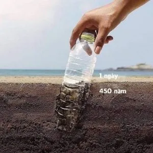 Sản phẩm chai nhua phai mat rau lau 450 nam de phan huy 300x300 — Màng BOPP Hà Nội - Công Ty Cổ Phần Giấy Và Bao Bì SIC — MST 0106382510