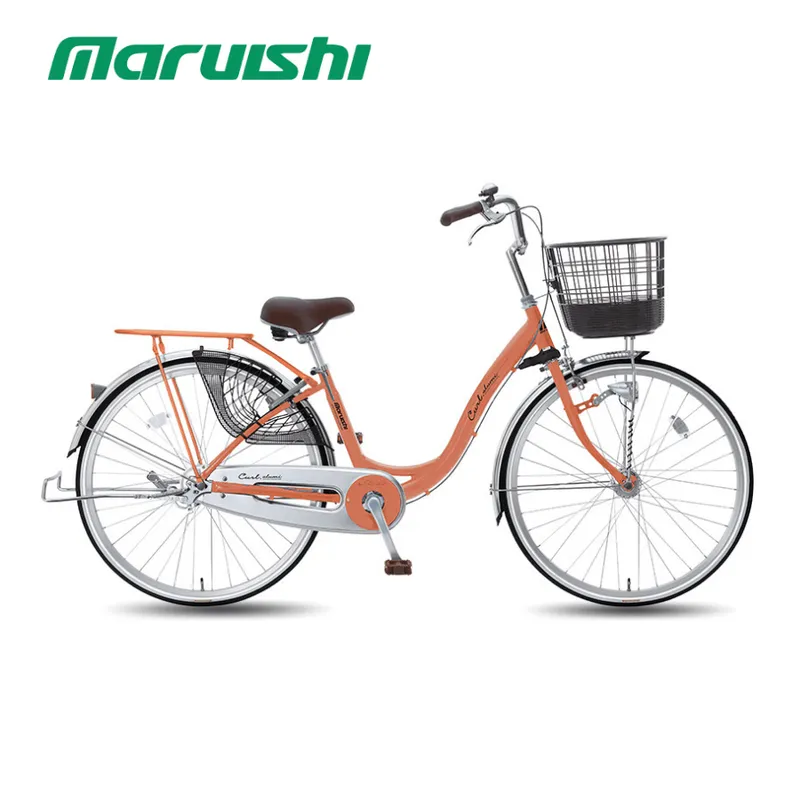 Sản phẩm Xe dap mini MARUISHI CUAL ALUMI — Công Ty TNHH Alaskan — MST 0106410687