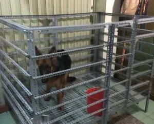 Sản phẩm huong dan chi tiet cach lam chuong cho bang sat v lo 1 300x242 — Công Ty TNHH AKH Việt Nam — MST 0106437061