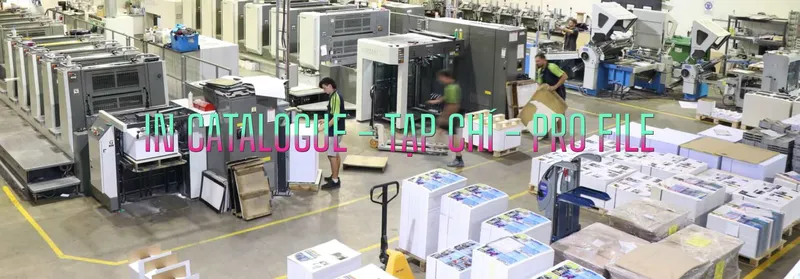 Sản phẩm slide 10 — Công Ty TNHH Đầu Tư In Việt Nam — MST 0106457068