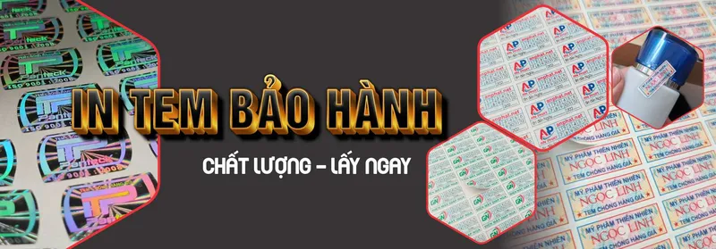 Sản phẩm slide 7 — Công Ty TNHH Đầu Tư In Việt Nam — MST 0106457068