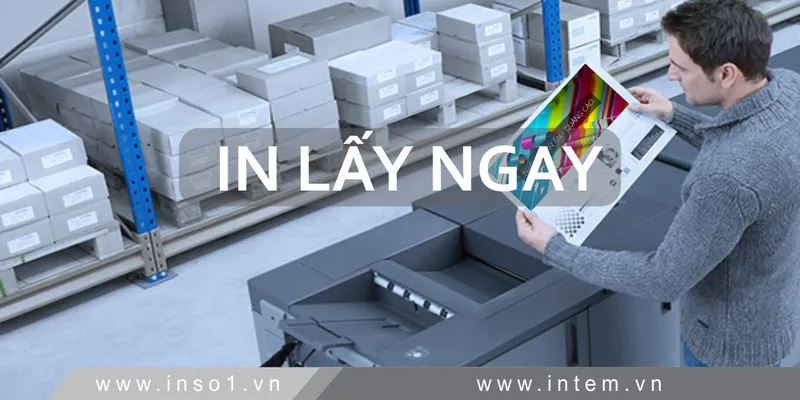 Sản phẩm ban 2 compressed — Công Ty TNHH Đầu Tư In Việt Nam — MST 0106457068