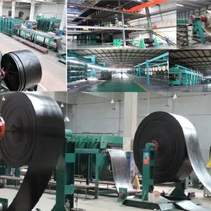 Sản phẩm 44 — Công Ty TNHH Đầu Tư Victory Việt Nam — MST 0106474634