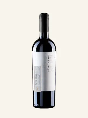 Sản phẩm ruou vang chile conforme punti ferrer cabernet sauvignon 300x400 — Công Ty TNHH Ánh Vang — MST 0106481712