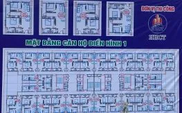 Sản phẩm mat bang can ho nha o xa hoi thanh ha cienco 5 dien hinh 1 263x163 — Ancasa Land - Công Ty TNHH Tư Vấn Bất Động Sản Đại An — MST 0106493154