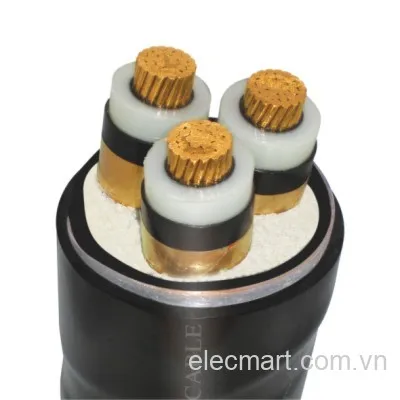 Sản phẩm 750_cap_trung_the_3_loi — Thiết Bị Điện Duy Linh - Công Ty TNHH Thiết Bị Điện Duy Linh — MST 0106502024