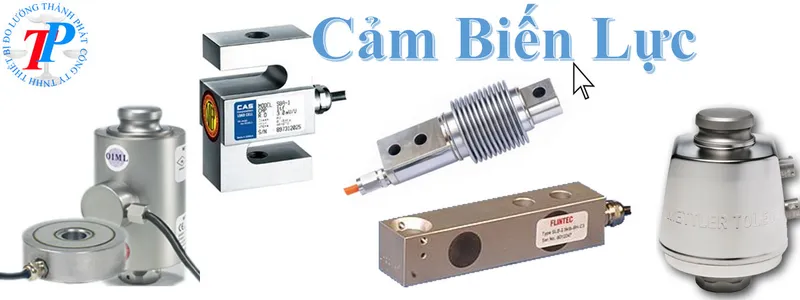 Sản phẩm slide 9 — Cân Điện Tử Thành Phát - Công Ty TNHH Thiết Bị Đo Lường Thành Phát — MST 0106514911