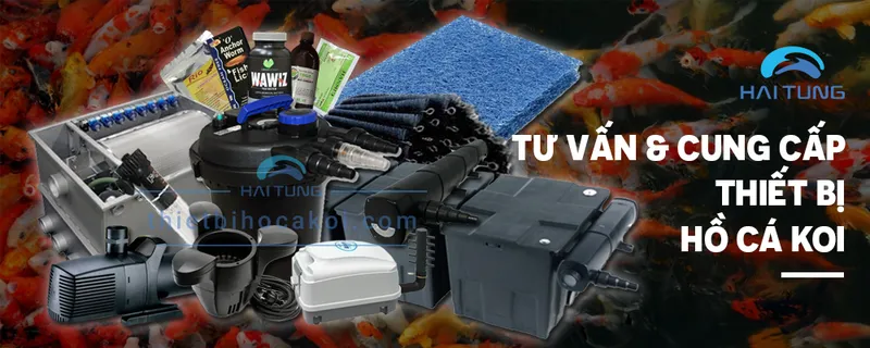 Sản phẩm 20180823toroqx — Công Ty TNHH Thương Mại Xuất Nhập Khẩu Hải Tùng — MST 0106530945