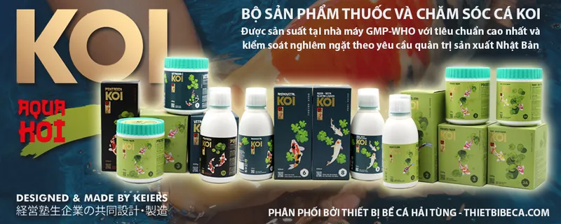 Sản phẩm 20210912ajpbqi — Công Ty TNHH Thương Mại Xuất Nhập Khẩu Hải Tùng — MST 0106530945