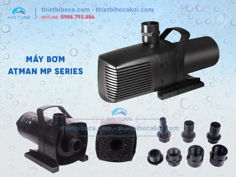 Sản phẩm 1553735103132051514 — Công Ty TNHH Thương Mại Xuất Nhập Khẩu Hải Tùng — MST 0106530945