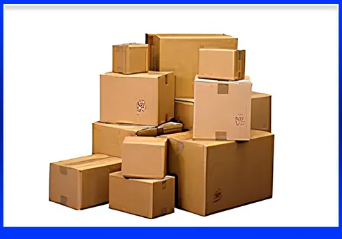 Sản phẩm Carton — Bao Bì Thăng Long - Công Ty TNHH Sản Xuất Bao Bì Thăng Long — MST 0106555019