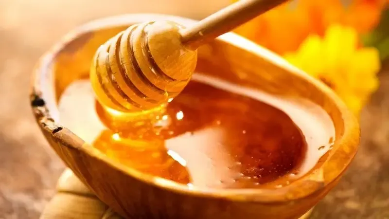 Sản phẩm compressed_nhung loi ich tuyet voi tu mat ong doi voi suc khoe 1 800x450 1 — Công Ty Cổ Phần Helen Recipe — MST 0106557640