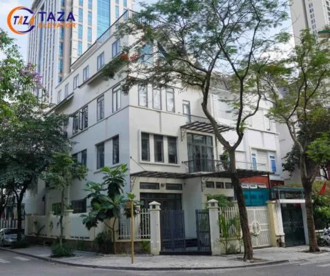 Văn phòng Thang Máy Taza Việt Nam - Công Ty CP Kỹ Thuật Và XNK Thang Máy Taza Việt Nam #478 — MST 0106621046