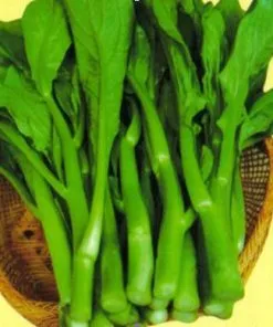 Sản phẩm cai ngong cao san2 247x296 — Công Ty TNHH Đầu Tư Và Dịch Vụ Đức Thắng — MST 0106632739