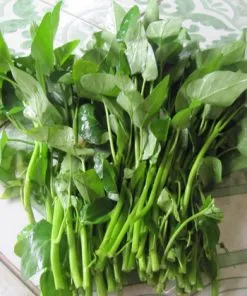 Sản phẩm hat giong rau muong 247x296 — Công Ty TNHH Đầu Tư Và Dịch Vụ Đức Thắng — MST 0106632739