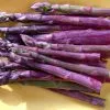 Sản phẩm mang tay violet5 100x100 — Công Ty TNHH Đầu Tư Và Dịch Vụ Đức Thắng — MST 0106632739