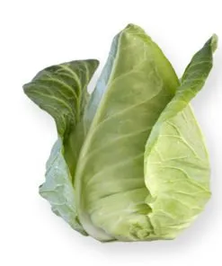 Sản phẩm variety_cabbage_pointed_sonsma 247x296 — Công Ty TNHH Đầu Tư Và Dịch Vụ Đức Thắng — MST 0106632739