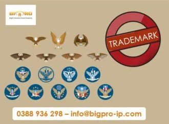 Sản phẩm 1.1 VN anh dang ky NH tai VN 3 330x242 — Công Ty Cổ Phần Tư Vấn Bigpro — MST 0106634782