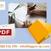 Sản phẩm 1. VN Anh huong dan nop don Dk tai VN 100x100 — Công Ty Cổ Phần Tư Vấn Bigpro — MST 0106634782