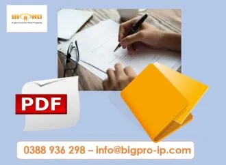 Sản phẩm 1. VN Anh huong dan nop don Dk tai VN 330x242 — Công Ty Cổ Phần Tư Vấn Bigpro — MST 0106634782