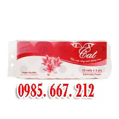 Sản phẩm 19 — Giấy Đại Thành - Công Ty TNHH Sản Xuất Và Phát Triển Thương Mại Đại Thành — MST 0106649789
