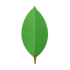 Sản phẩm image — Công Ty TNHH Phần Mềm Bắc Hà — MST 0106653376